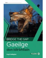 Bridge the Gap Gaeilge don Idirbhliain
