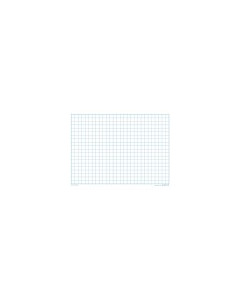 Grid Write & Wipe Board A4 1cm Grid/Blank
