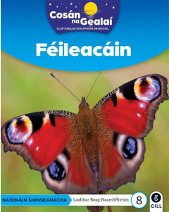 Cosan na Gealai : Feileacain (Senior Infants Non-Fiction Reader 8)