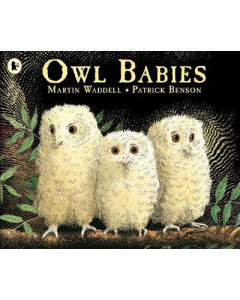 Owl Babies 