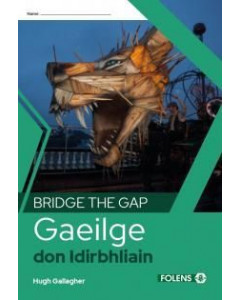 Bridge the Gap Gaeilge don Idirbhliain