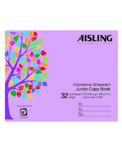 Aisling Junior Copy 32Pg Asj10 160 X 200MM 15MM Wide Copy (Landscape)