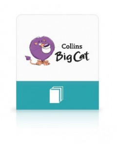 Big Cat Phonics Practice Pink 1A Combined Pack Fiction/Non-fiction (8)