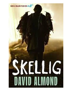 Skellig by David Almond