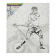 Icon 300x250mm Colour My Canvas - Hurling 